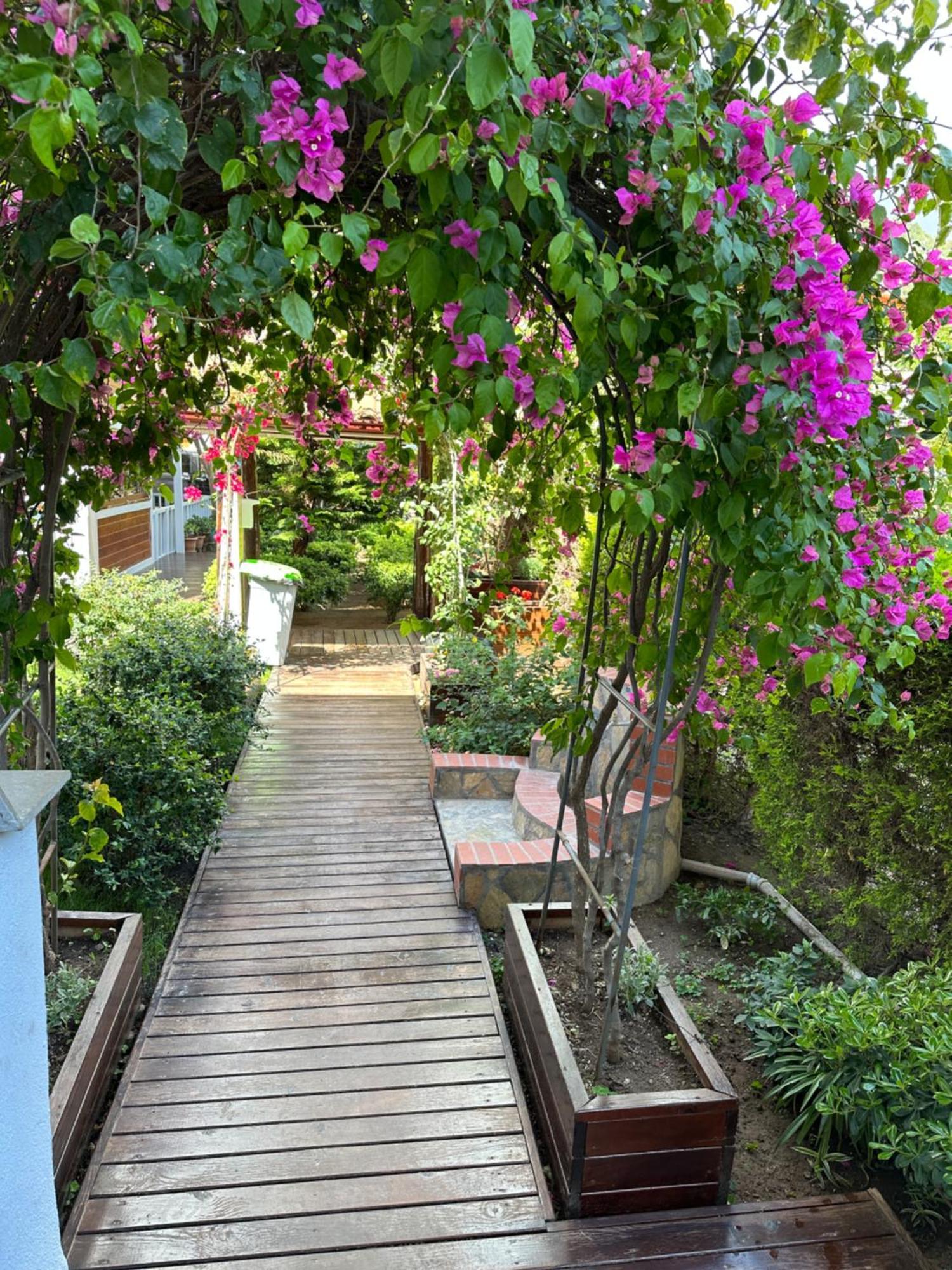 Çıralı Palm Konak Hotel מראה חיצוני תמונה